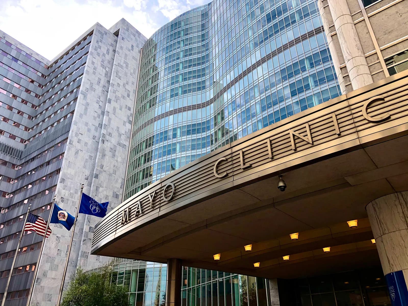 Mayo Clinic | African Medical Services